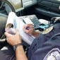 How to avoid getting a speeding ticket in Upstate NY