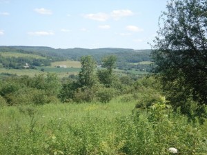 Warren NY Lawyer